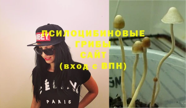 кристаллы Алзамай