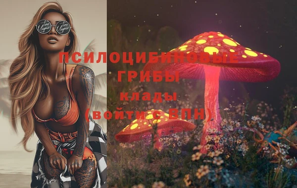 ECSTASY Алексин