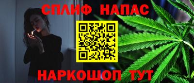 МДПВ Ижевск