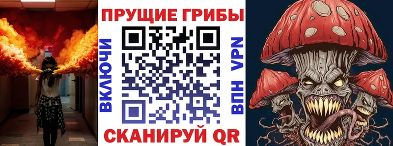 закладки  Заинск  Псилоцибиновые грибы Magic Shrooms 