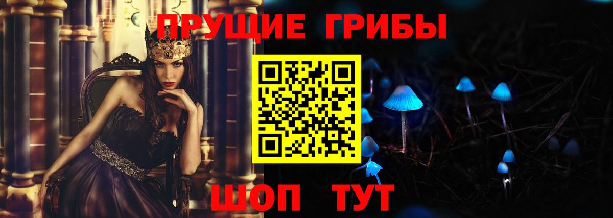 Заинск  купить  цена  Вход с VPN  Псилоцибиновые грибы прущие грибы 